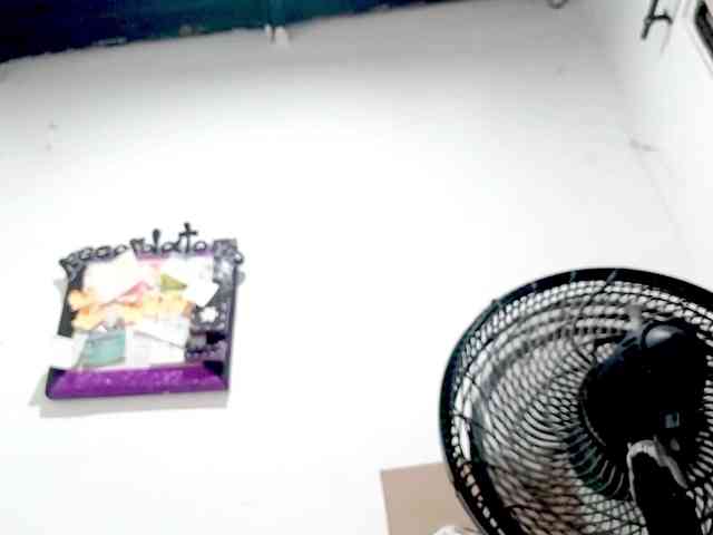 PetiteIvoryqueens webcam