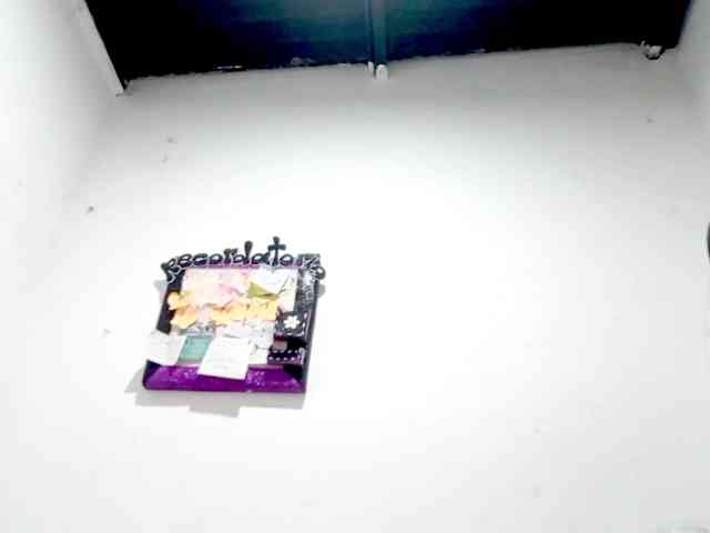 PetiteIvoryqueens webcam