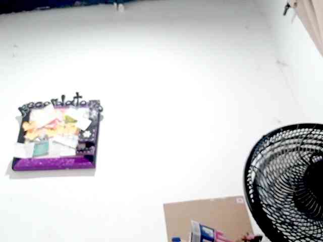 PetiteIvoryqueens webcam