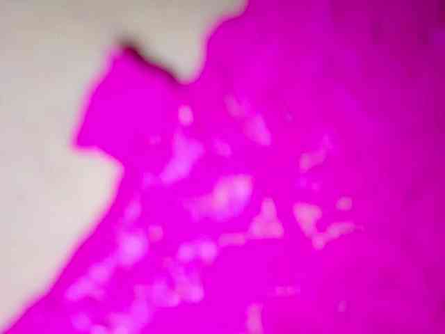 PetiteIvoryqueens webcam