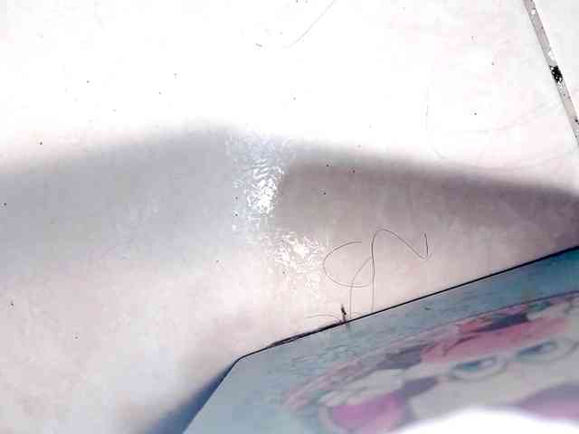 PetiteIvoryqueens webcam