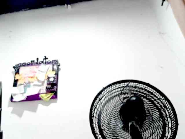 PetiteIvoryqueens webcam
