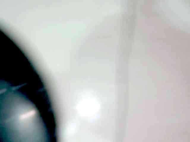 PetiteIvoryqueens webcam