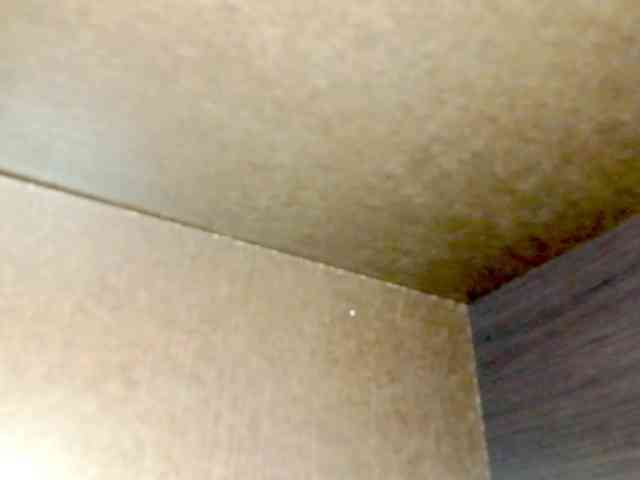 PetiteIvoryqueens webcam