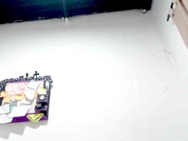 PetiteIvoryqueens webcam