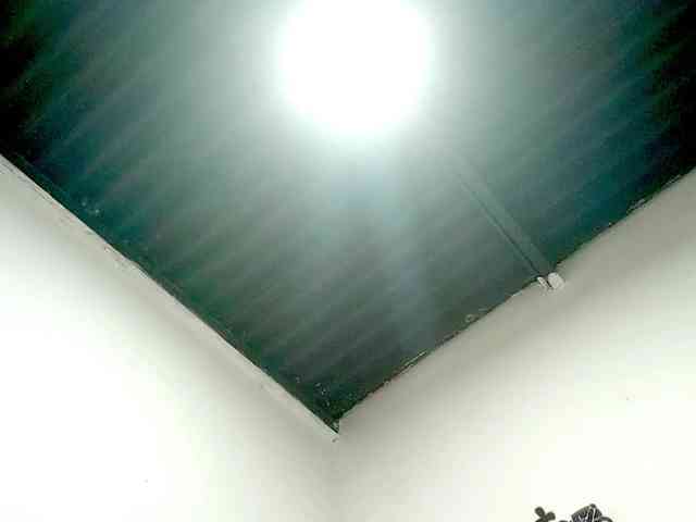 PetiteIvoryqueens webcam