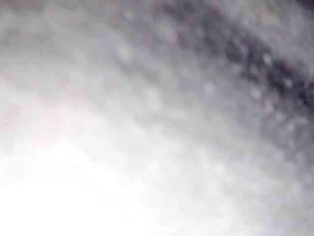 PetiteIvoryqueens webcam