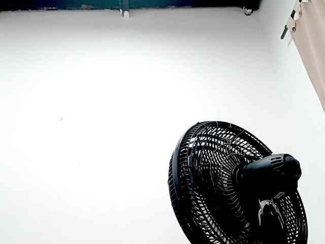 PetiteIvoryqueens webcam