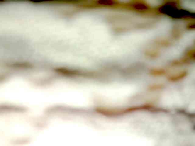 PetiteIvoryqueens PetiteIvoryqueens