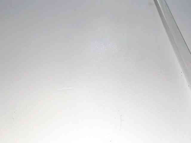 PetiteIvoryqueens webcam