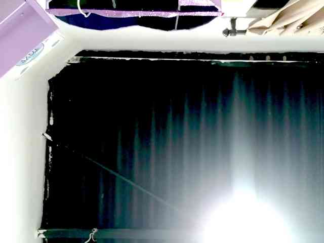 PetiteIvoryqueens webcam