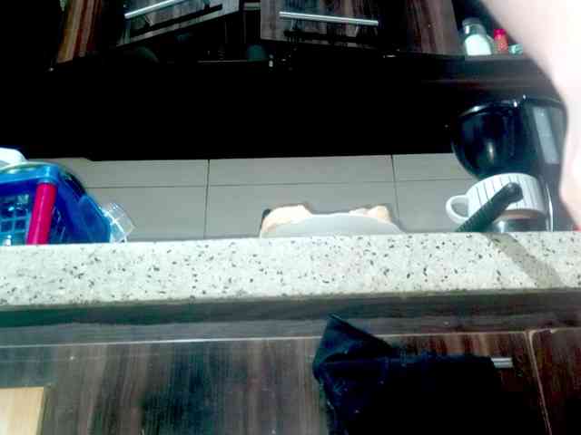 PetiteIvoryqueens webcam