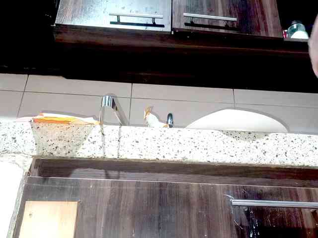 PetiteIvoryqueens webcam