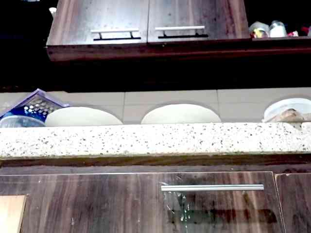 PetiteIvoryqueens webcam