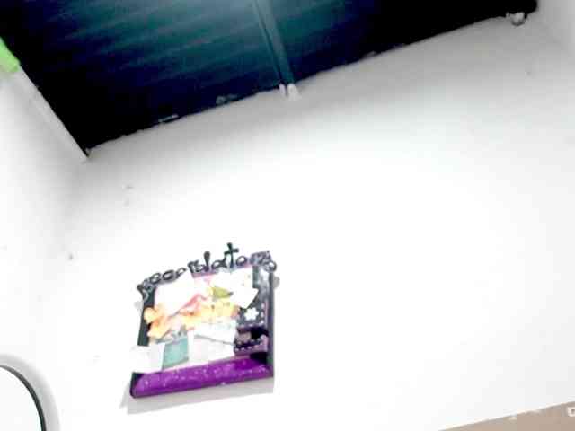 PetiteIvoryqueens webcam