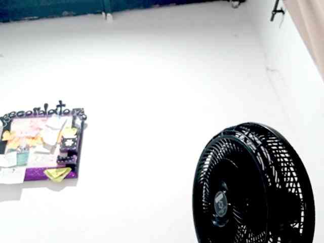 PetiteIvoryqueens webcam