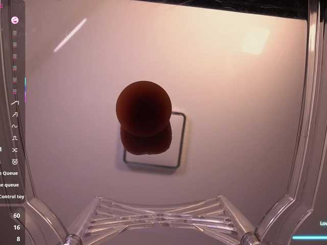 AmiraChase live room