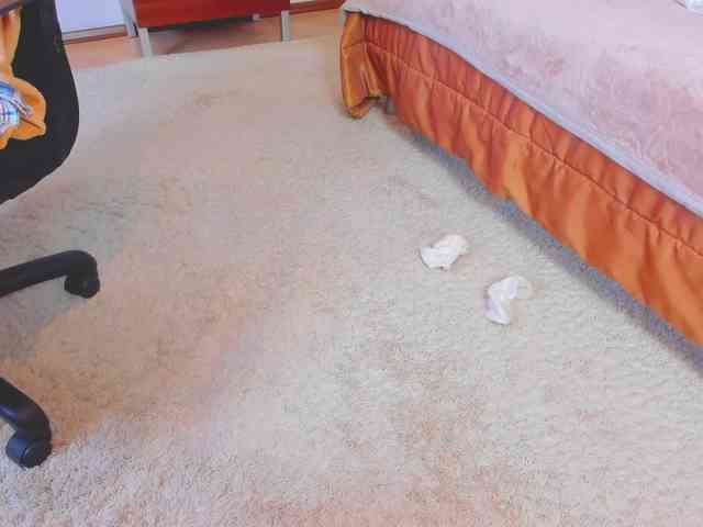 PantyhoseLegs_Ann webcam