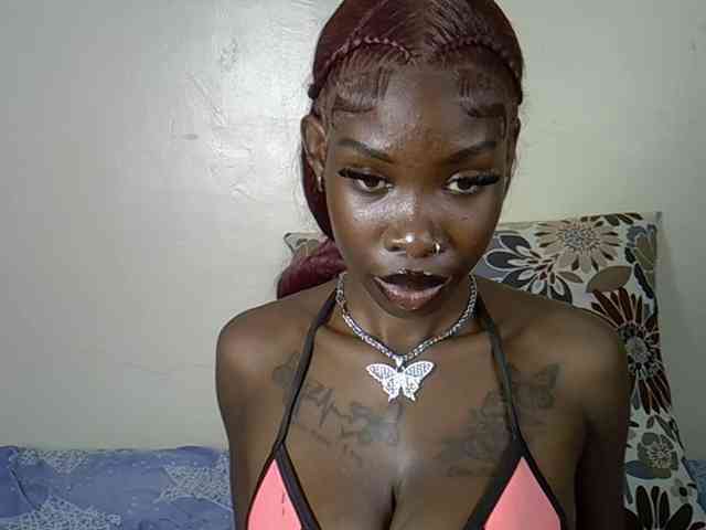 Petitelunar webcam
