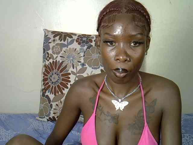 Petitelunar webcam