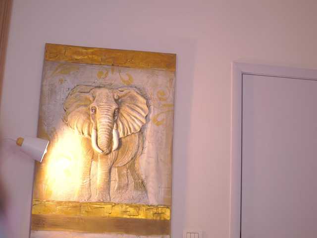 AishaBee's BongaCams show and profile