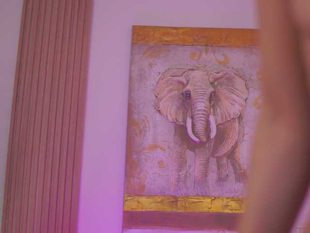 AishaBee's BongaCams show and profile