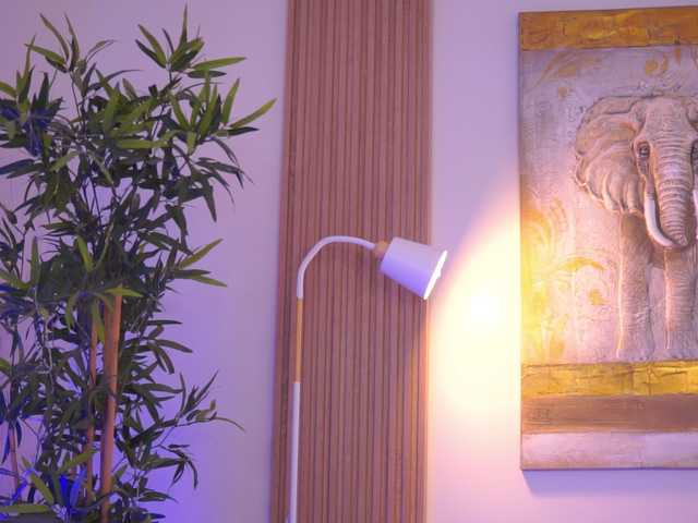 AishaBee's BongaCams show and profile