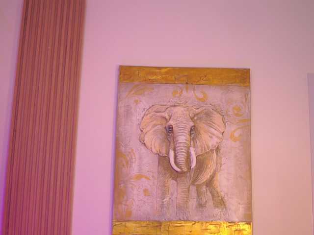 AishaBee's BongaCams show and profile