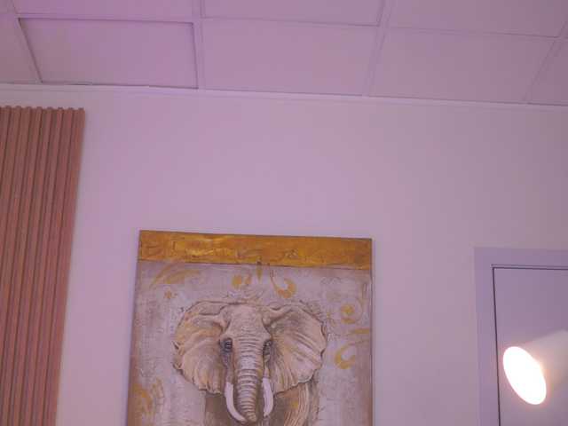 AishaBee's BongaCams show and profile