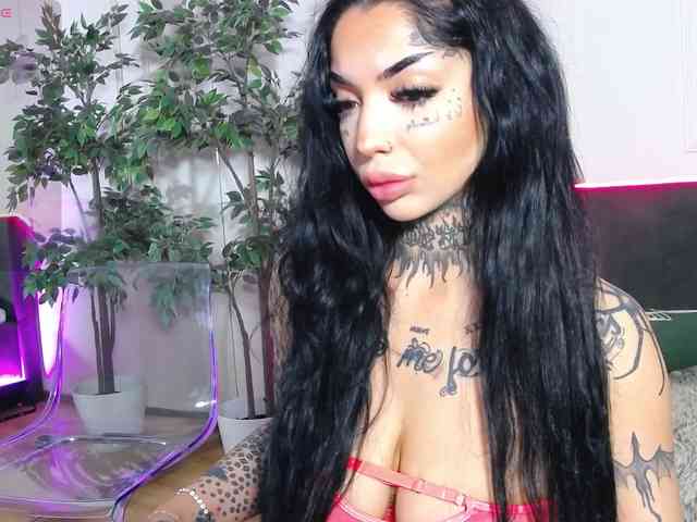 CreamyInk webcam