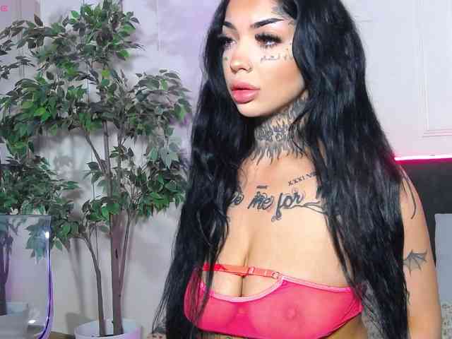 CreamyInk webcam