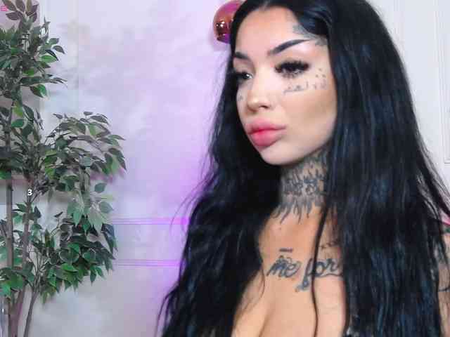 CreamyInk webcam