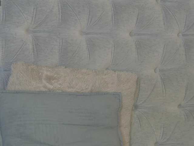 DemmiLove's BongaCams show and profile