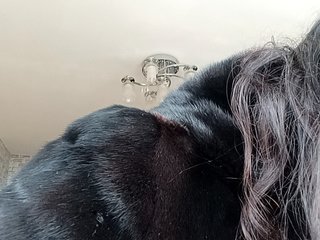 VictoriaPanther Porn Show