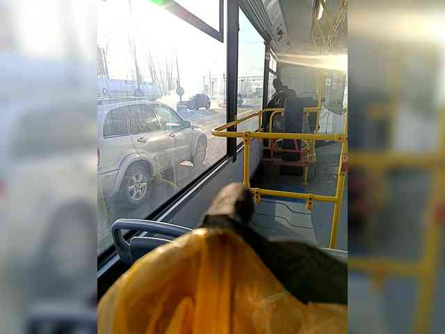 VictoriaPanther webcam