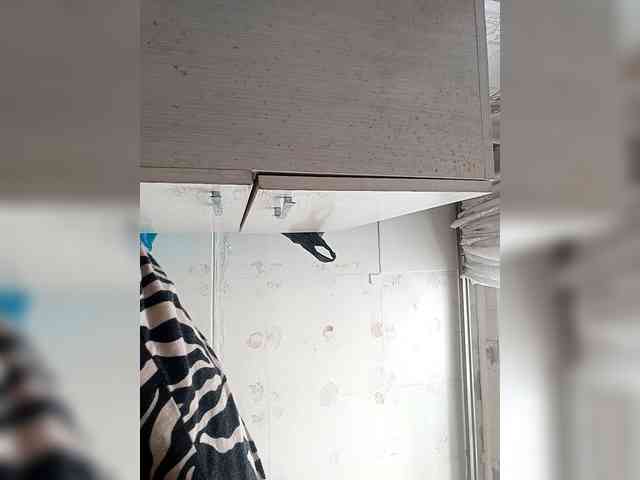 VictoriaPanther webcam