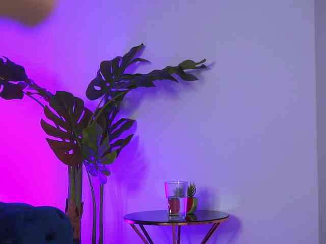 MaddieBryggs Live Webcam on BongaCams