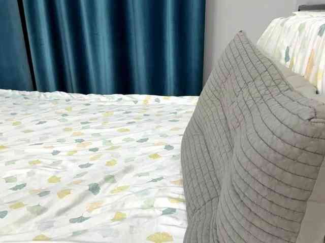 LatrishaAltigs webcam