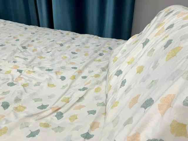 LatrishaAltigs webcam