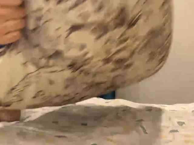 LatrishaAltigs webcam