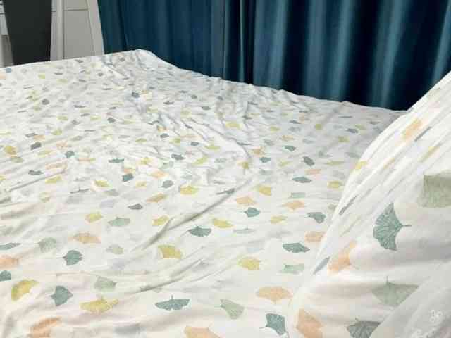 LatrishaAltigs webcam