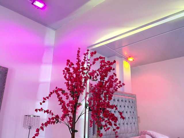 Lia-adams live cam profile