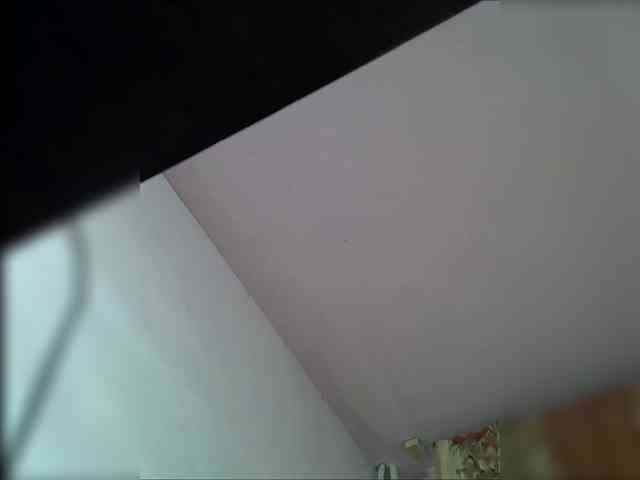 Neffertitt-Faraon webcam