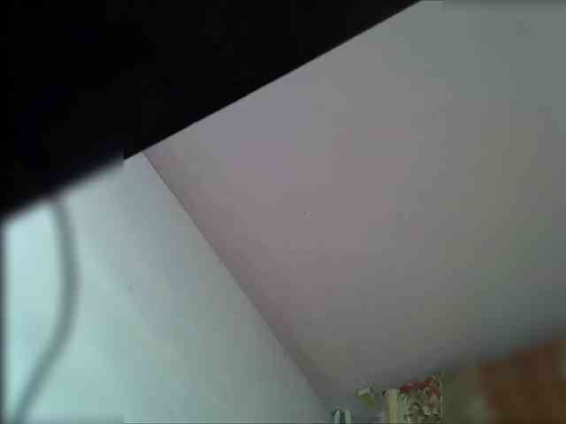 Neffertitt-Faraon webcam