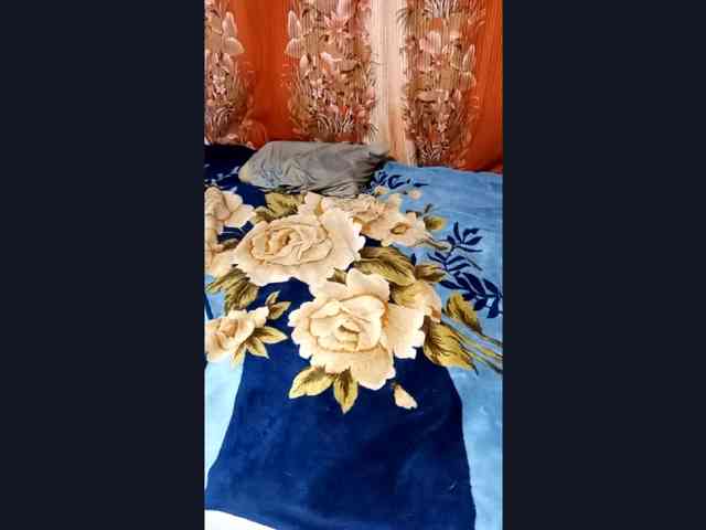 Neffertitt-Faraon webcam