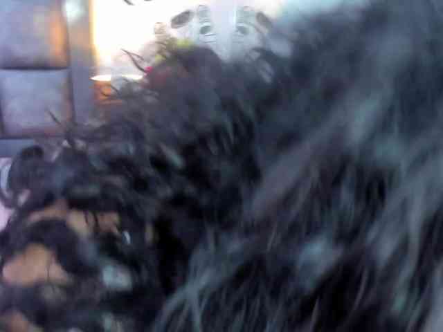 Sasha-picot17 Sasha-picot17