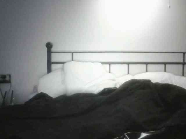 Natali-and-Mark webcam