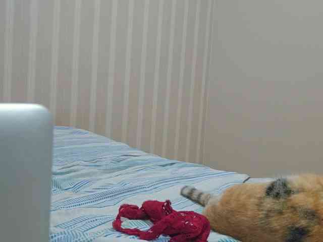 ingridequinti1 ingridequinti1