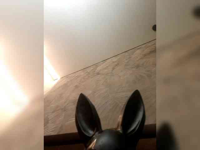 Vikysha webcam