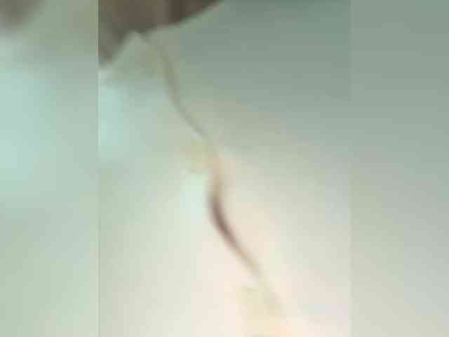 Vikusha